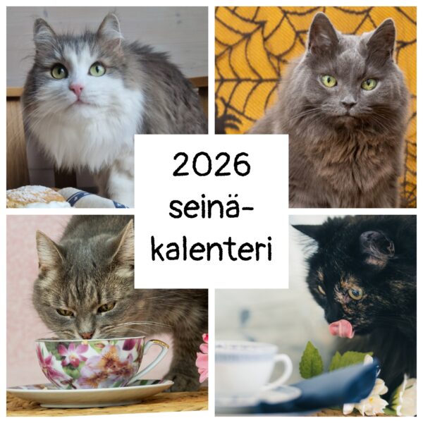 Seinäkalenteri 2026