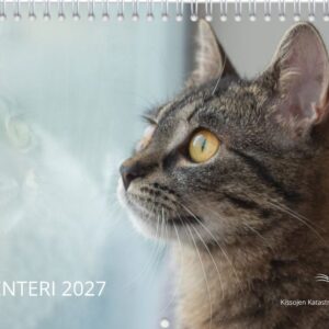 ENNAKKOMYYNTI: vuoden 2027 seinäkalenteri